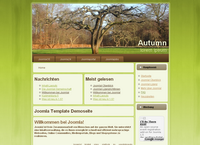IBSI-US.COM Affordable Custom Web site design Tampa Florida